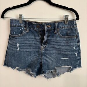 Aerie Classic Distressed Jean Shorts - Blue